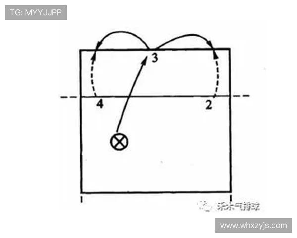从零起步掌握排球战术全解析助你成为场上高手
