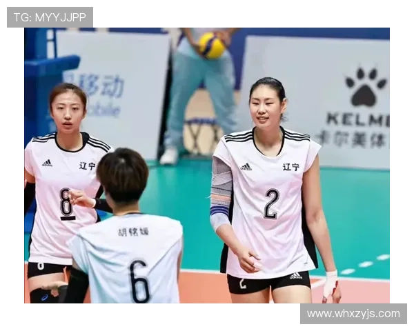 南京排球队总决赛个人能力全面解析与表现评估